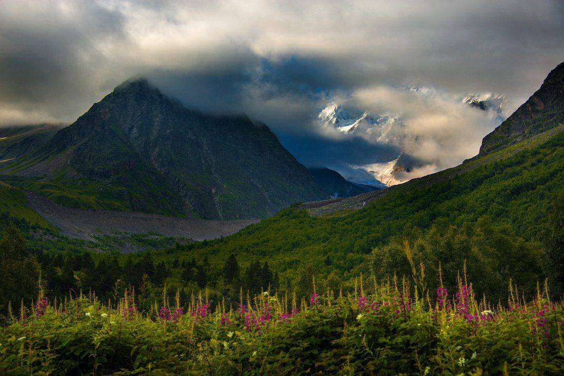 , Елена Брежицкая