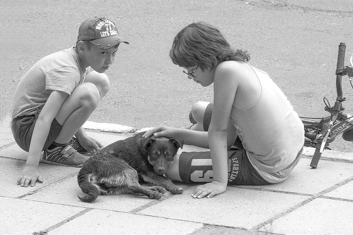 , Николай Морский