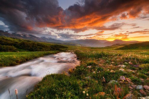 Stream