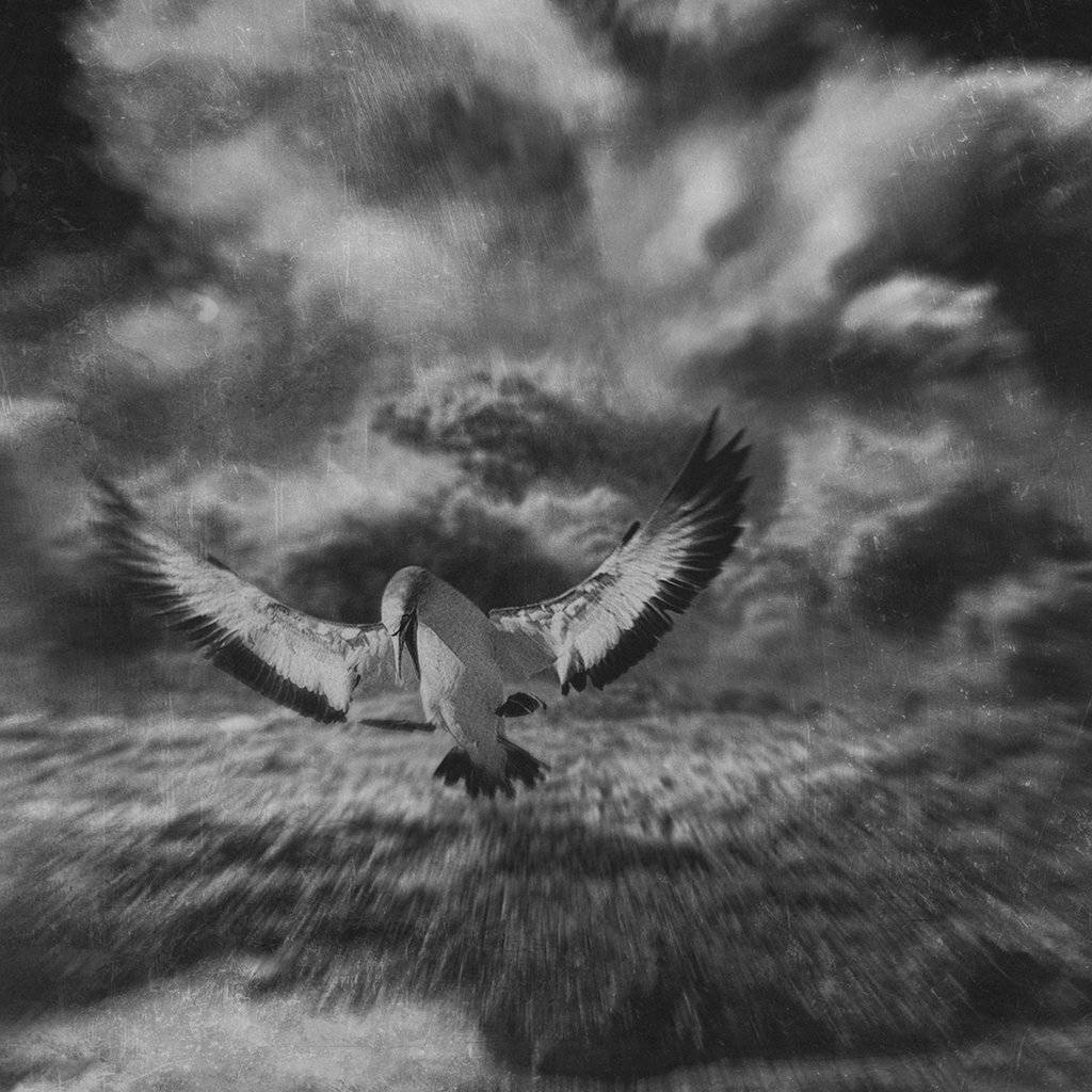 , Рублёв Дмитрий