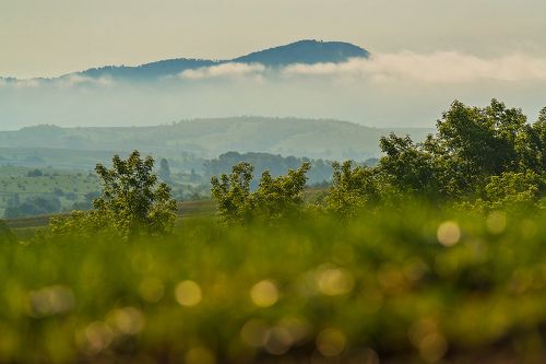 Утренние росы и Елтош в тумане