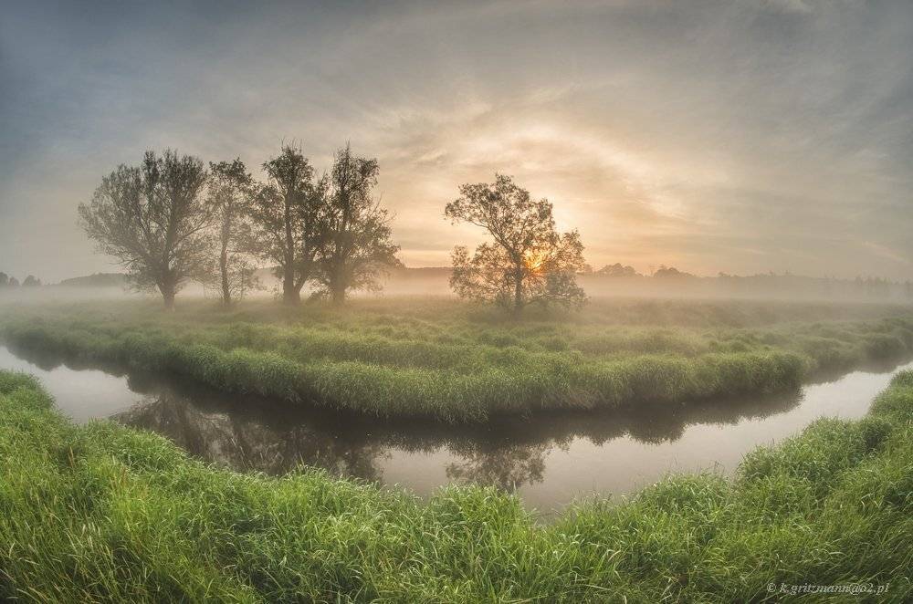 , Katarzyna Gritzmann