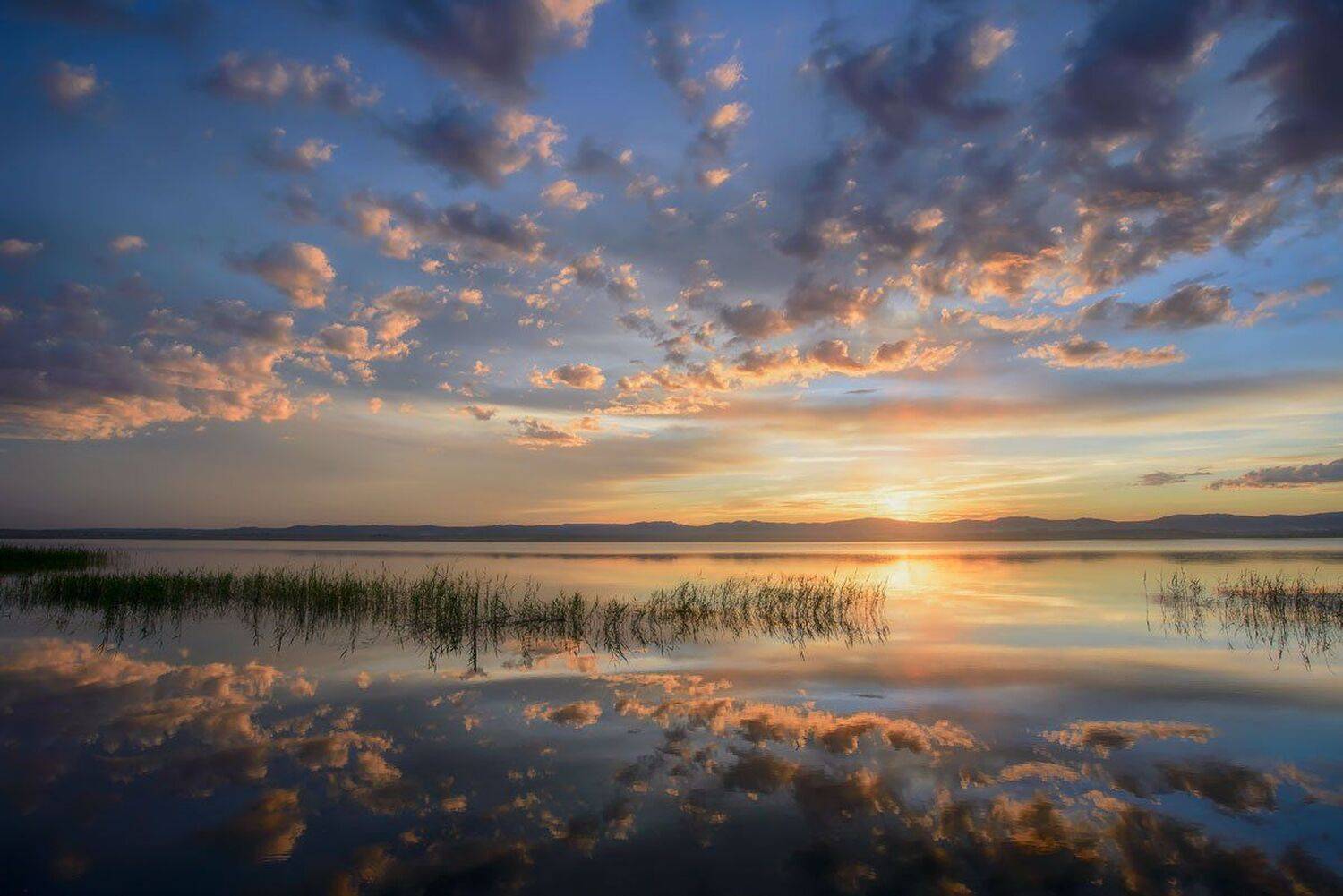 , Сергей Брагин