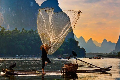 Ловля сетью