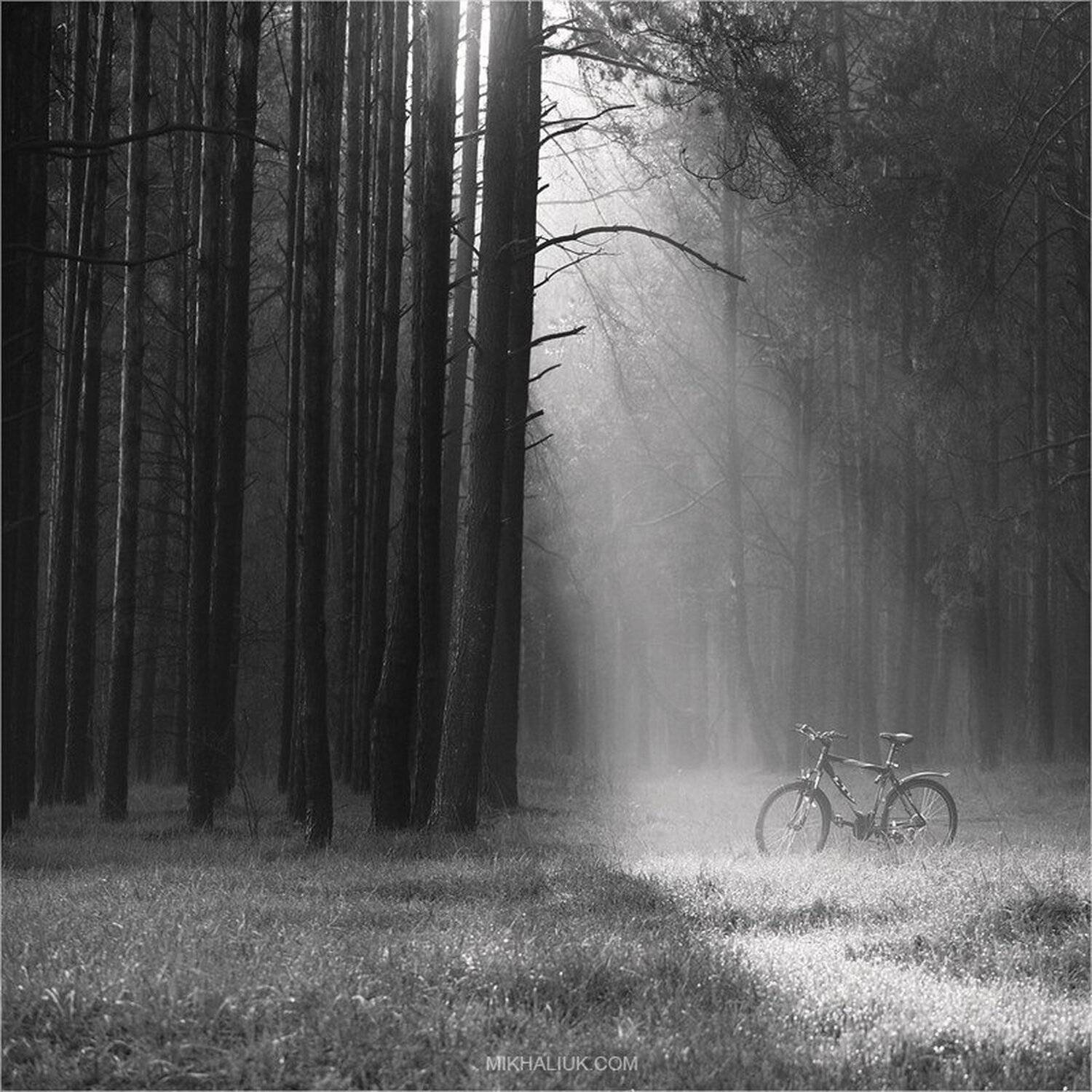 , Михалюк Сергей.