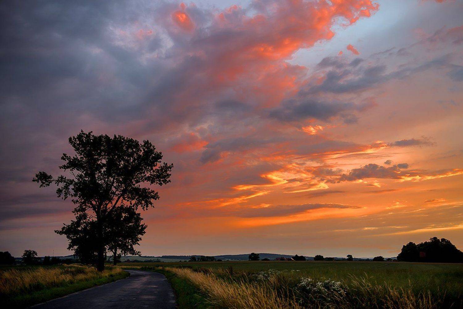 sunset, evening, orange, alone, tree, road, dansiga