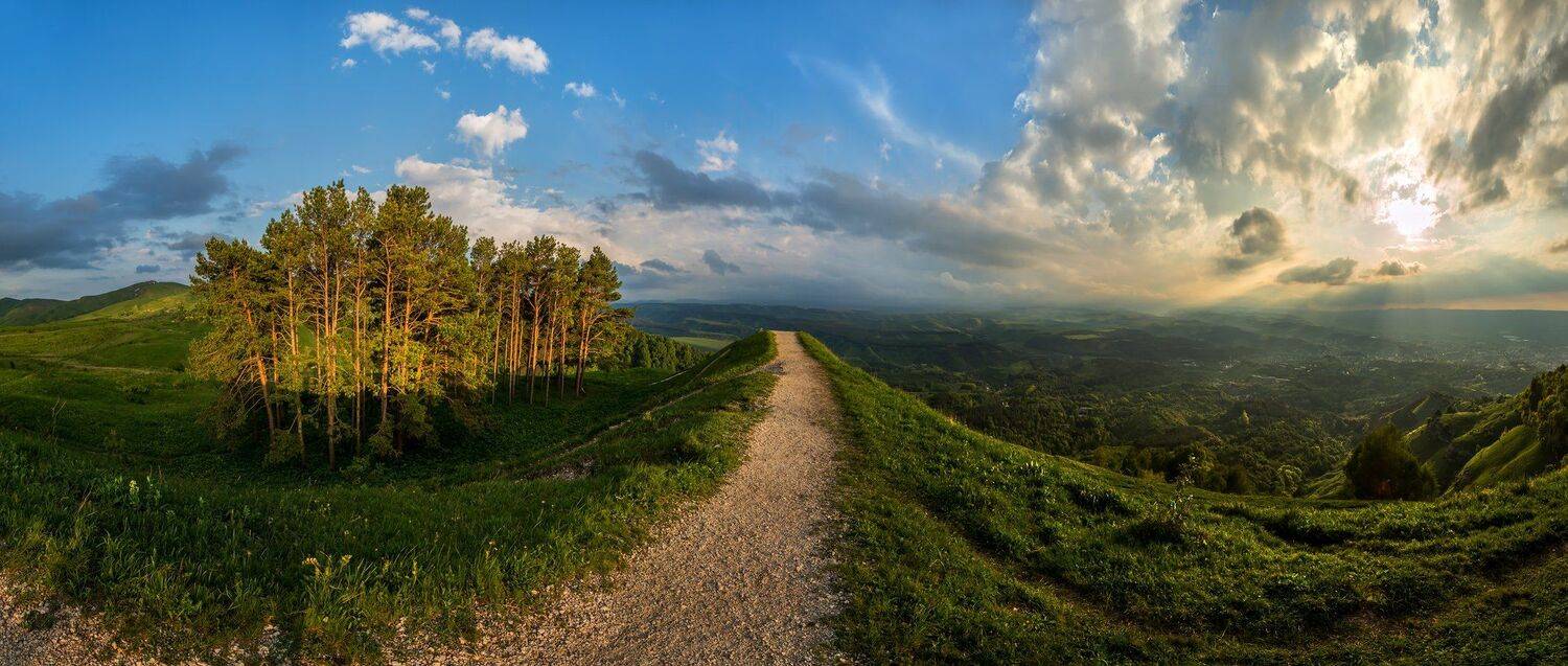 Весна, Гора Малое Седло, Город Кисловодск, Сосны, Тропа, Лашков Фёдор