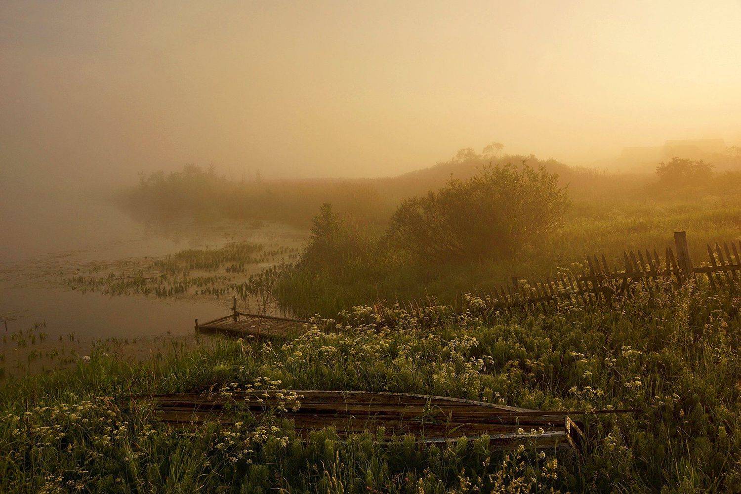 , Петр Косых