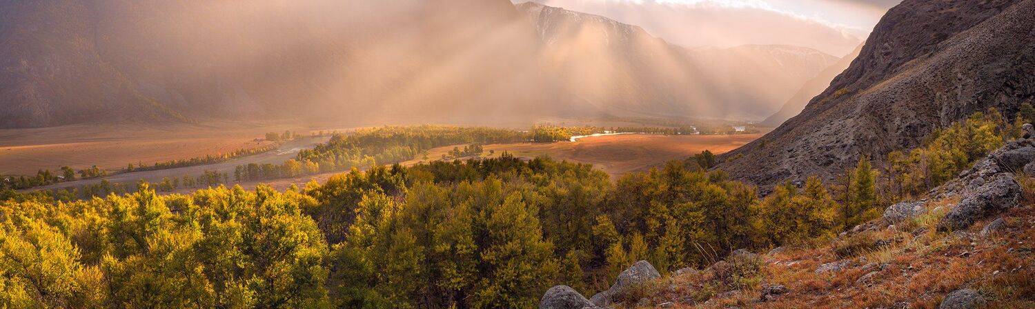, Валерий Щербина