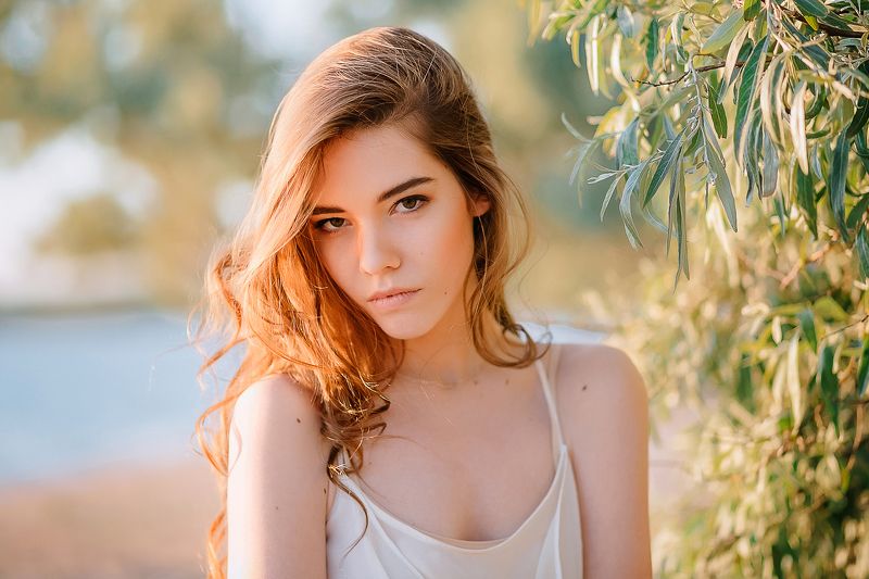 Портрет в маслине фото превью