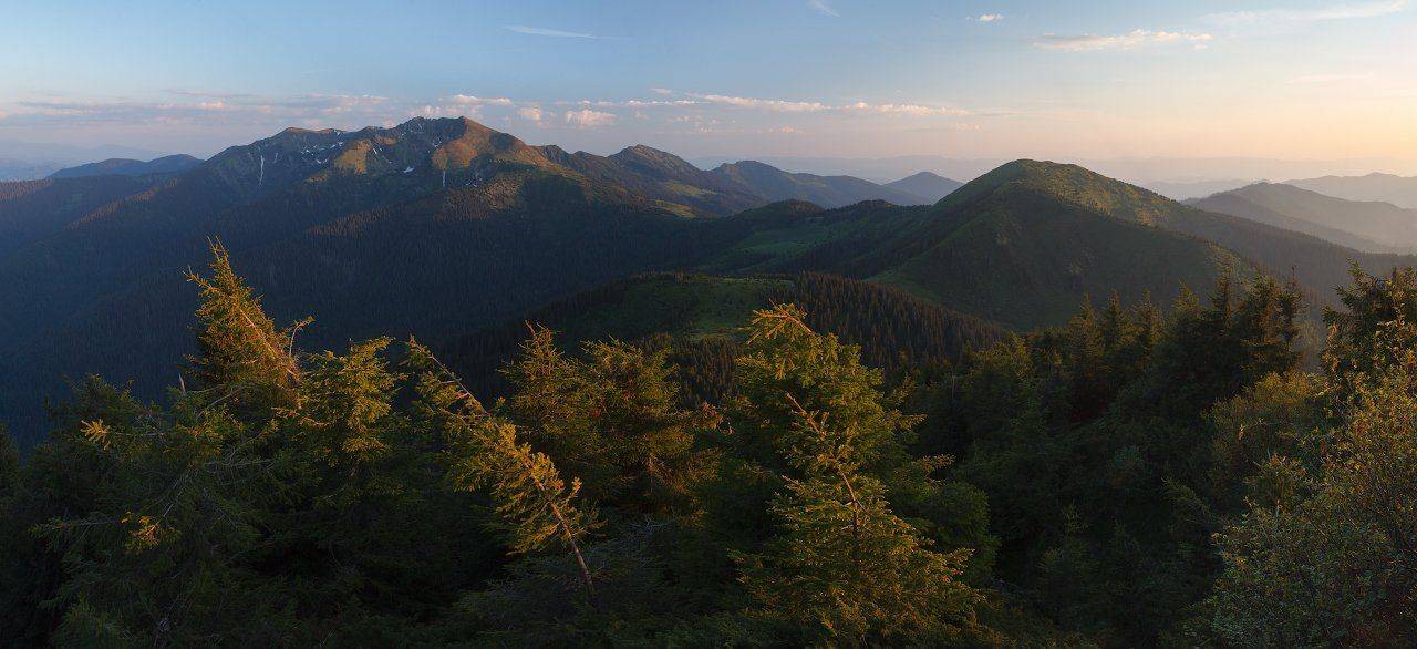 , Ярослав Тюрменко (Jaremi)