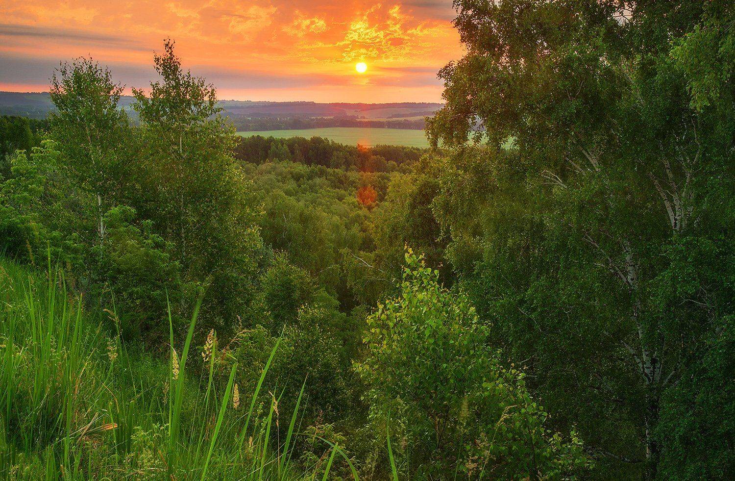 Altai, Altai krai, Siberia, Sunrise, Алтай, Алтайский край, Сибирь, Павел Филатов