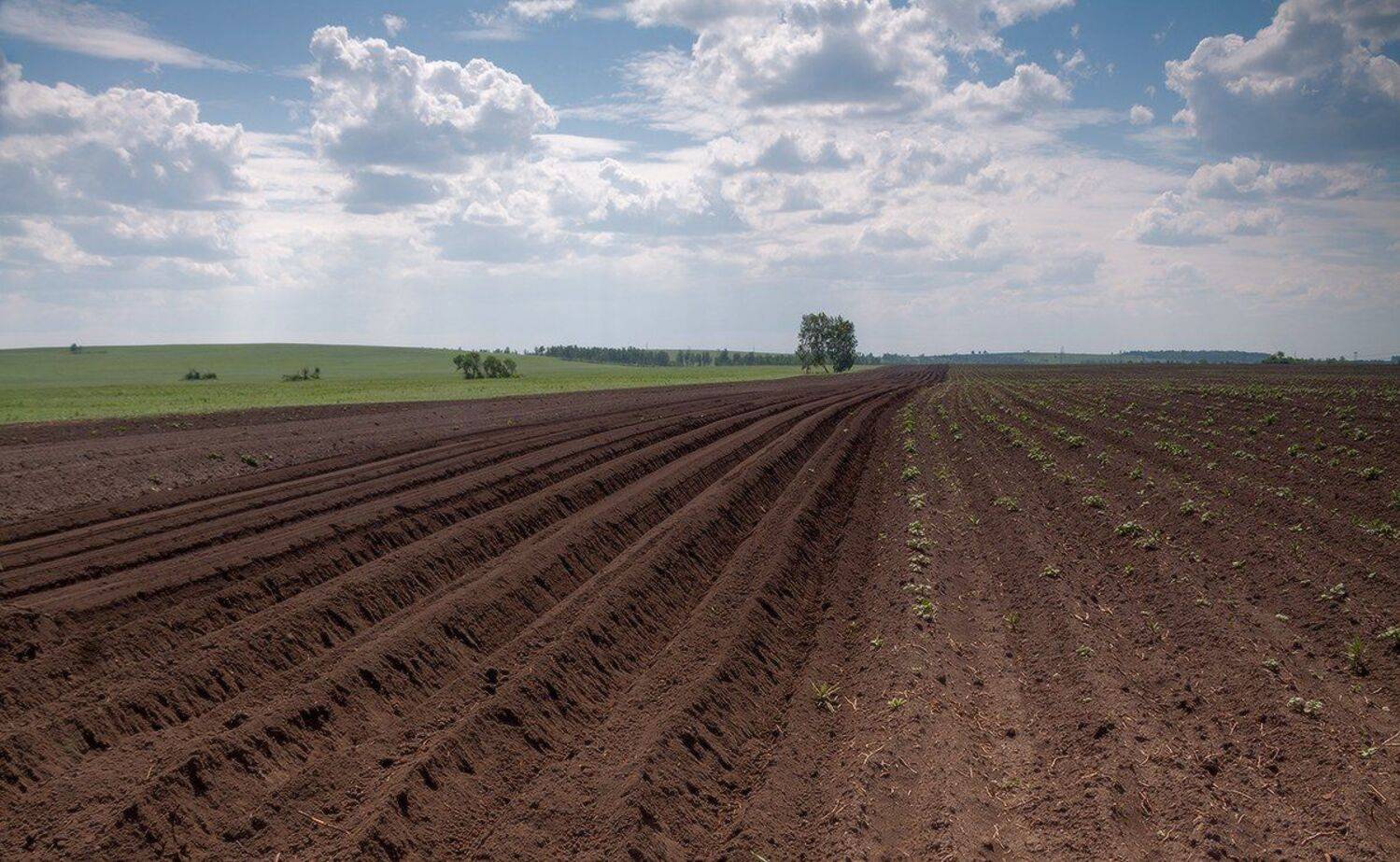 , Николай Морский