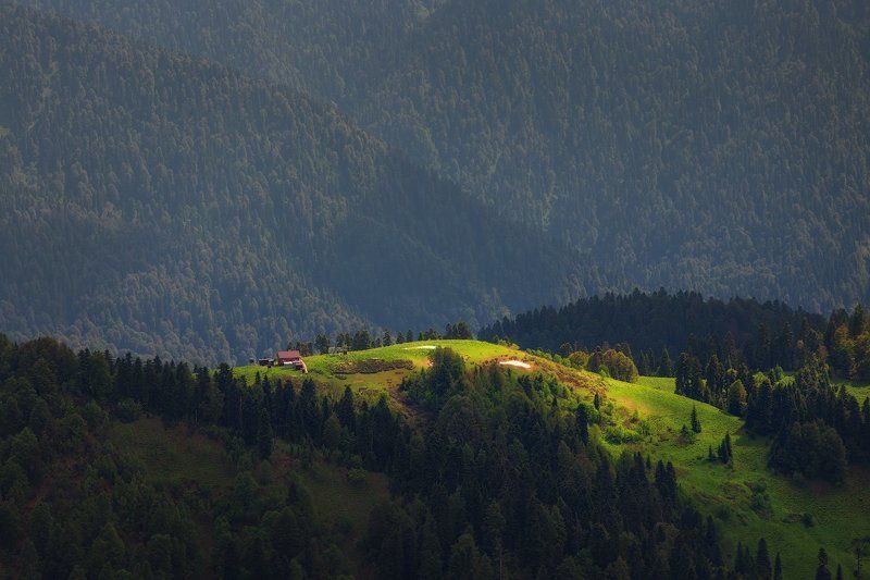 Вгорах, Домик, Лес, Полянка Я бы там жила... фото превью