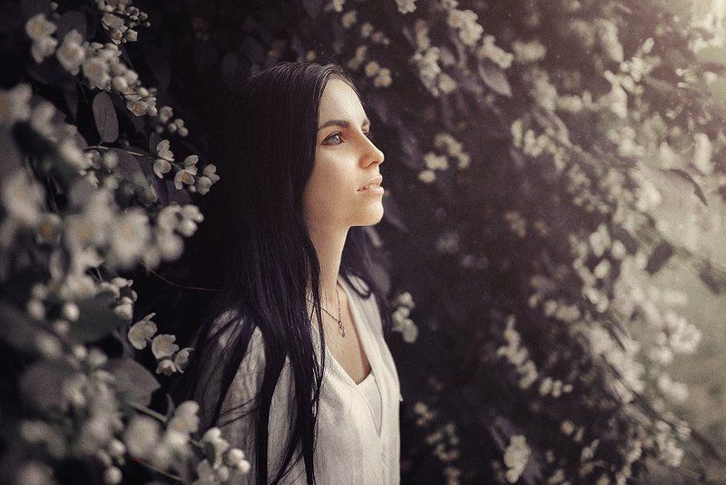 Поля фото превью