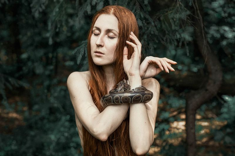 девушка, лес, змея, портрет, рыжая, арт, сказка  фото превью