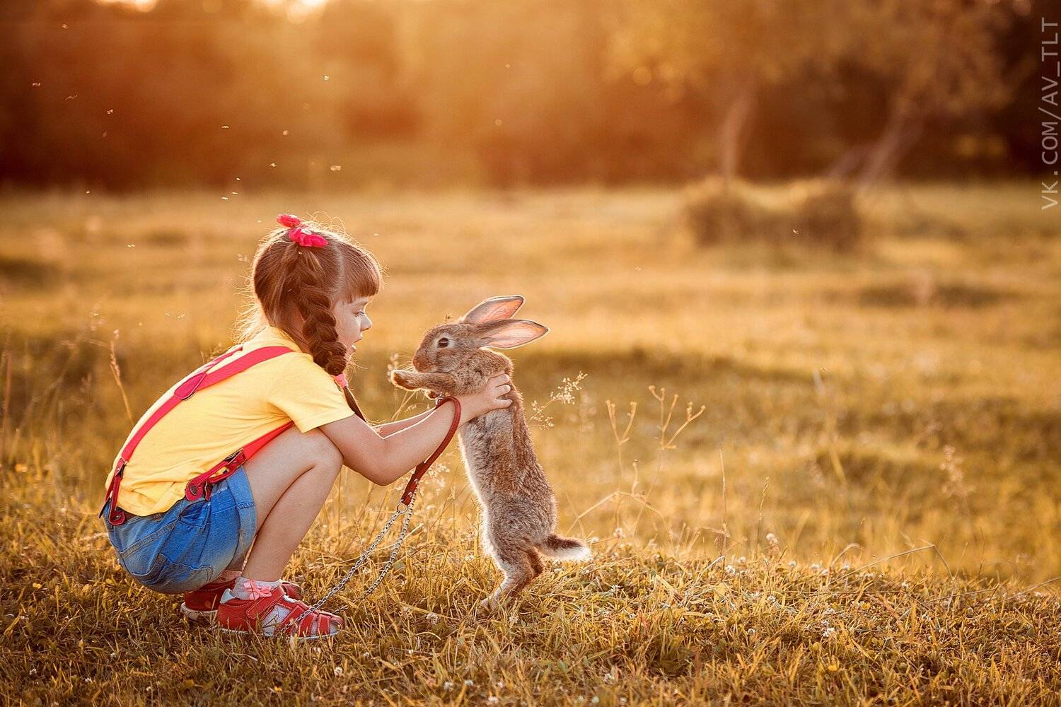 девочка,портрет,детское фото,кролик, Сухарь Александр