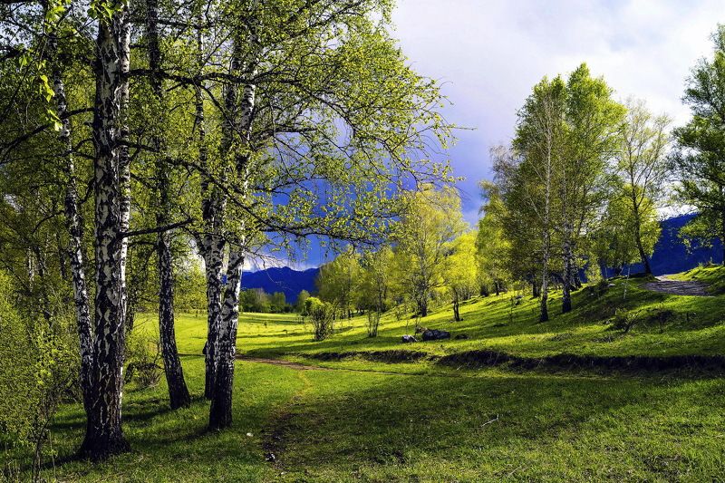 Алтай... с. Элекмонар. фото превью