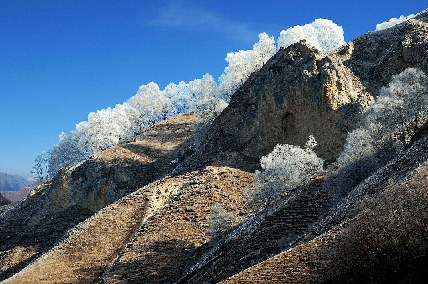 , Хасан Журтов