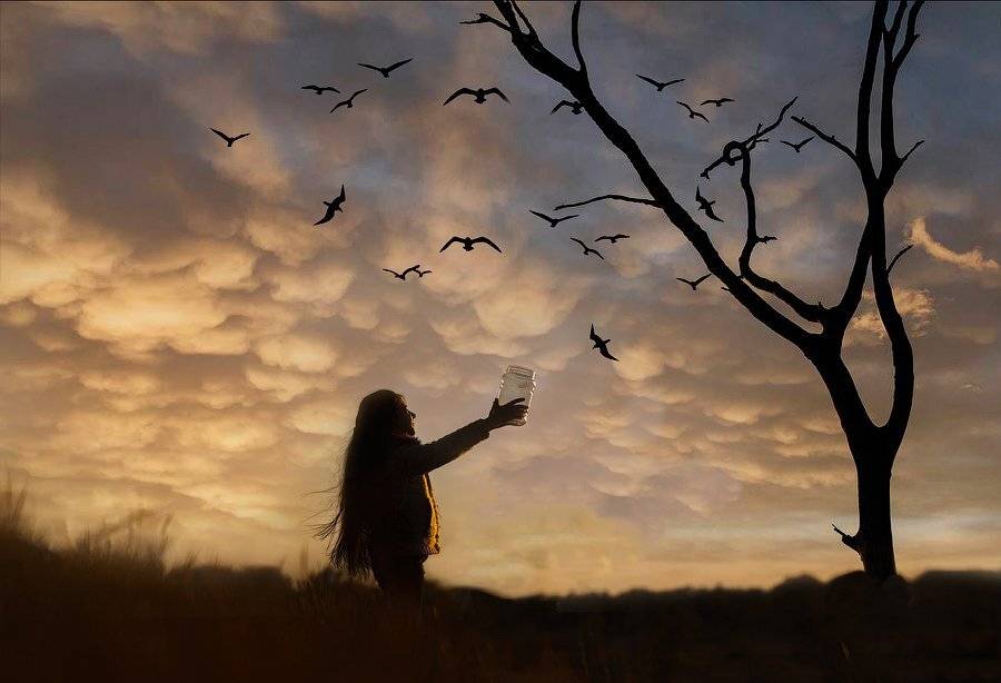 дети, вечер, закат,птицы,поздно,природа,девочка, Оксана