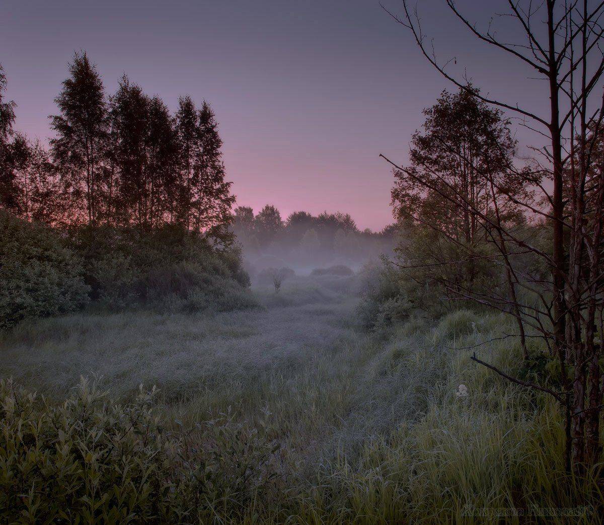 , Хохряков Николай