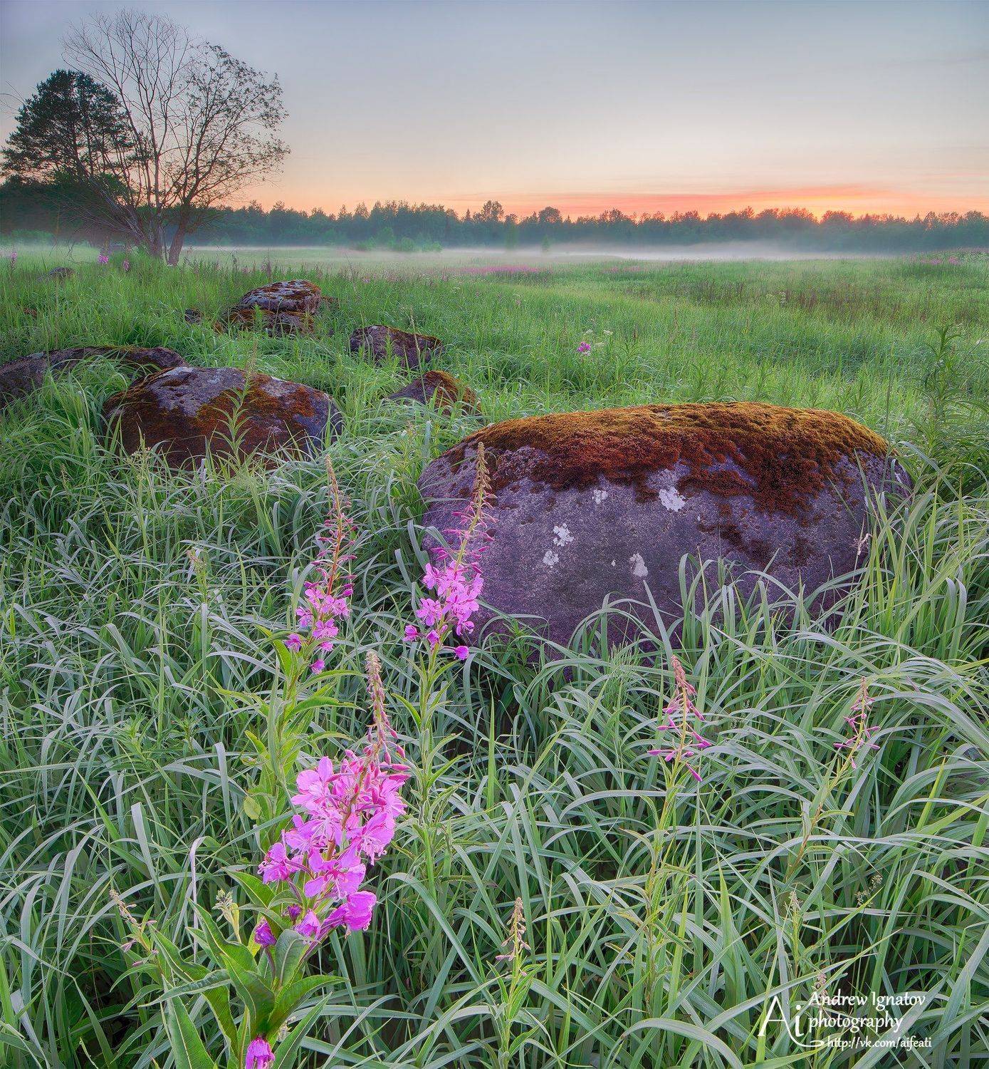, Андрей Игнатов