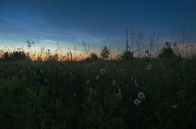 белые ночи, лето, серебристые облака, спасс косица, туман, подмосковье, верея Путешествие в ночном тумане II фото превью