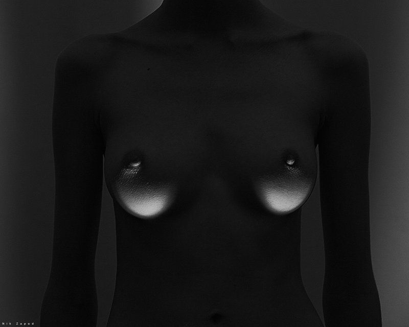 Taxidermy,ню,nikzapod Taxidermy #23 фото превью