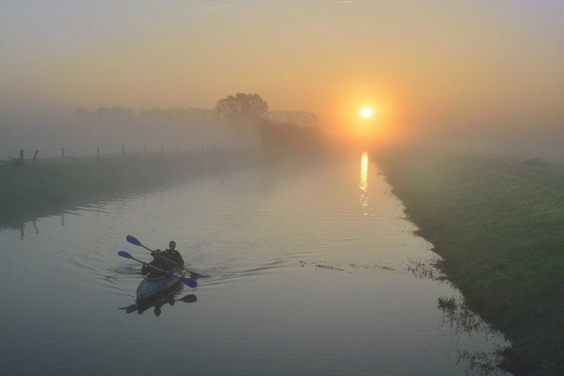 Early in the summer morning. фото превью