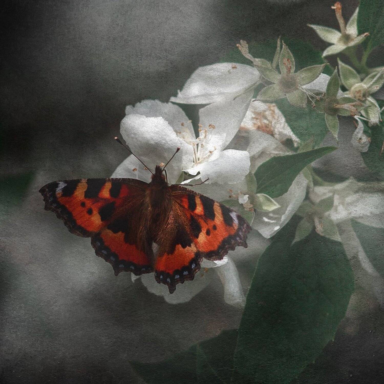 , Рублёв Дмитрий