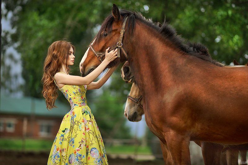 девушка, платье, фешн, гламур, спорт, волосы, лето, лошади Марьяша фото превью