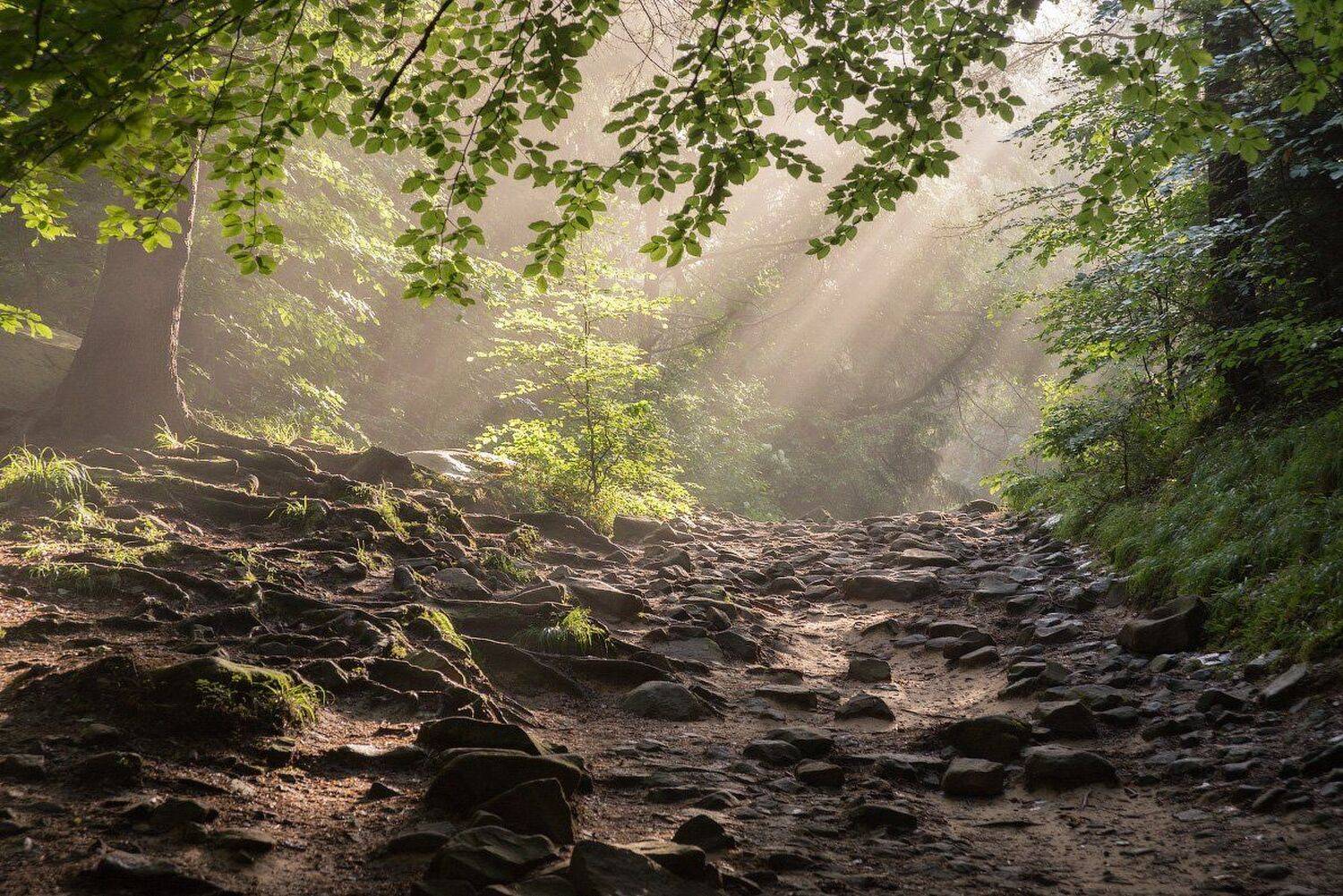 , Сергей Добровольский