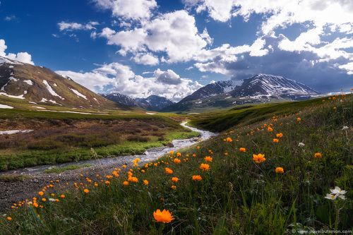 Летние огоньки