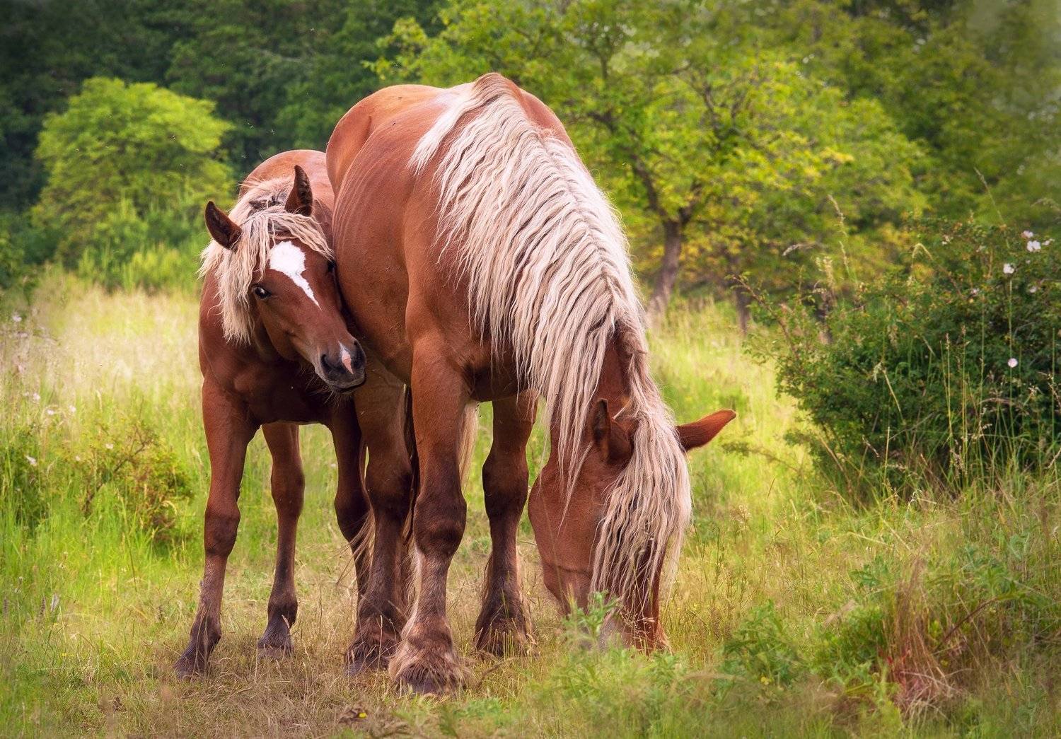 , Adelina Devetakova