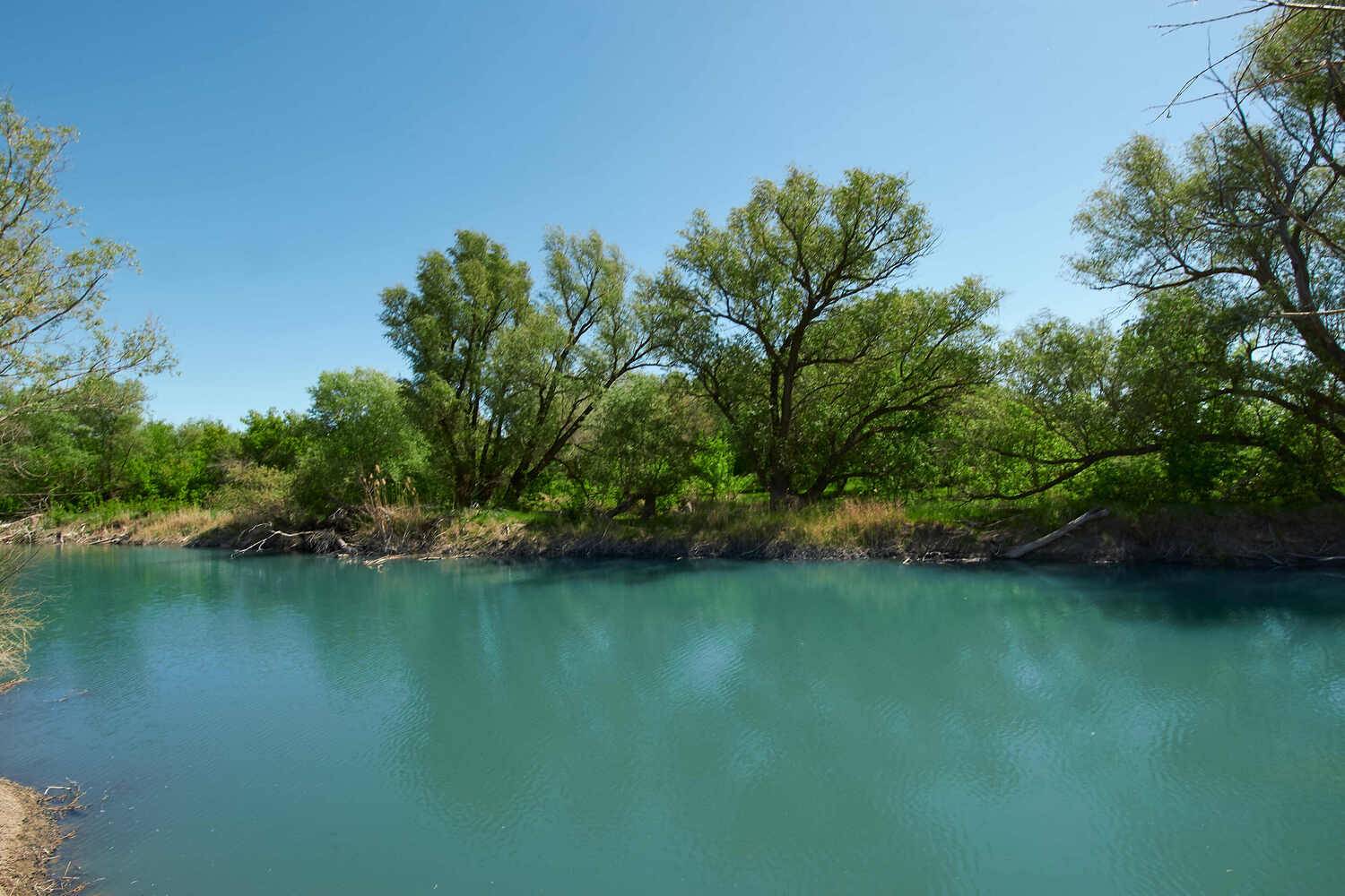 река голубая, калач-на-дону, волгоградская область, Павел Сторчилов