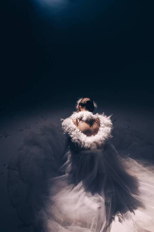 девушка, постановочное фото, студийное фото, портрет, женский портрет Белый лебедь фото превью