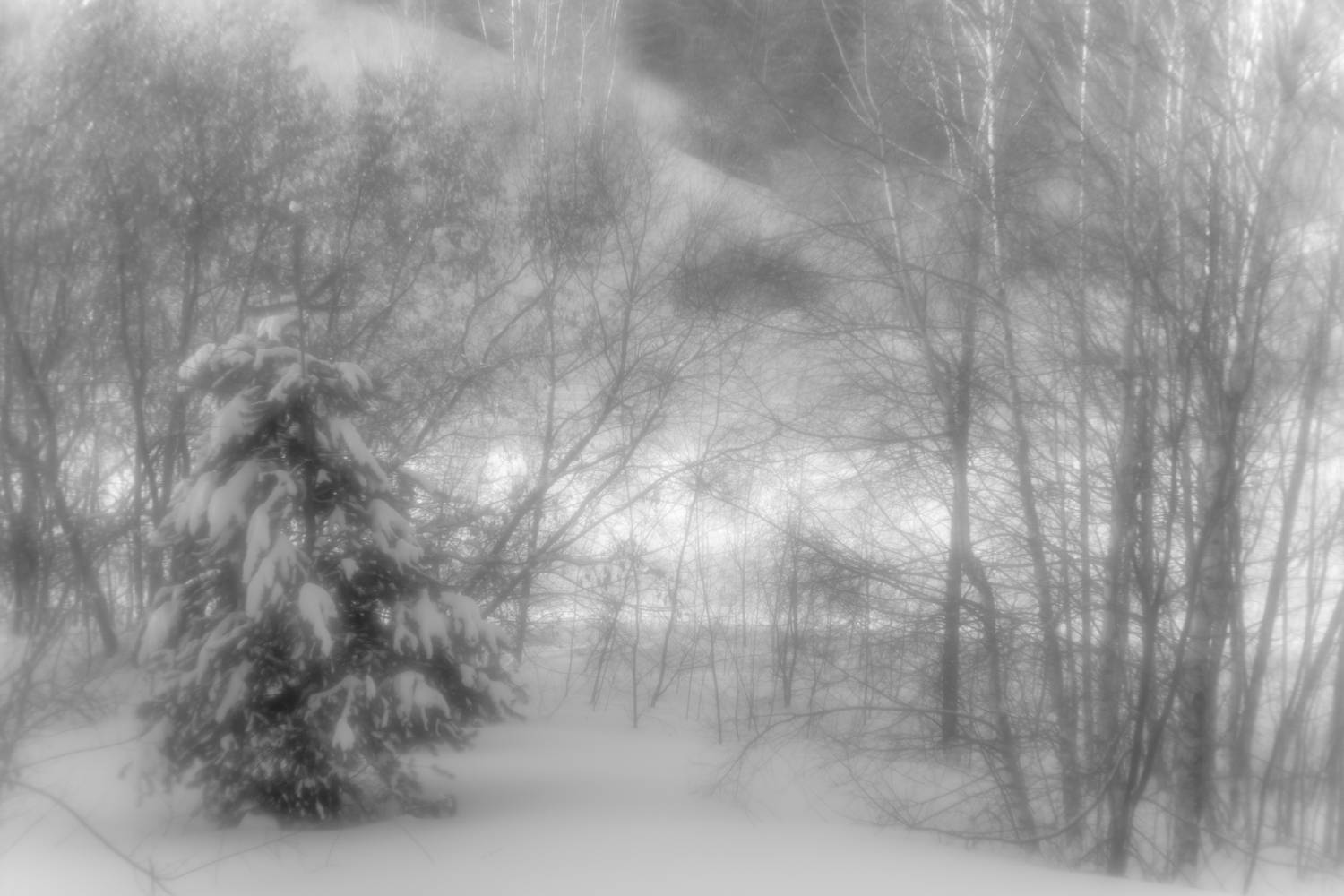 , Юрий Морозов