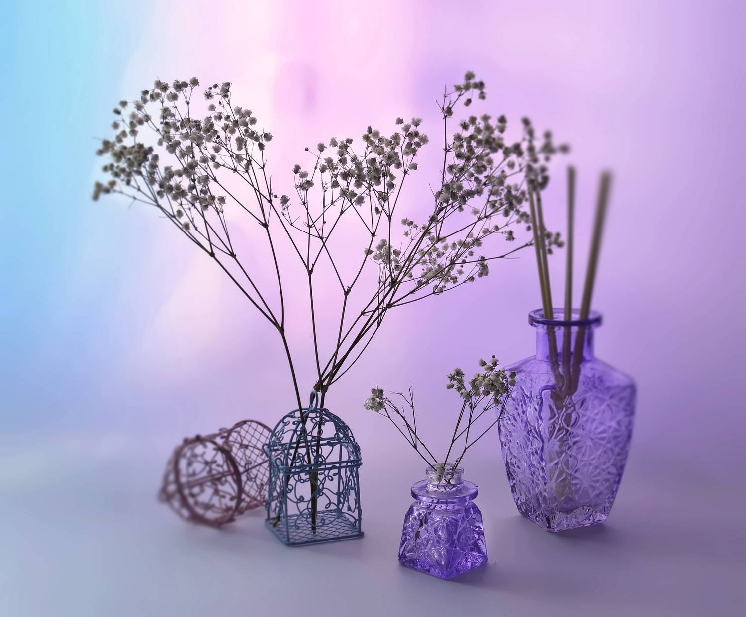 композиция, свет, цвет, инаида, Инаида