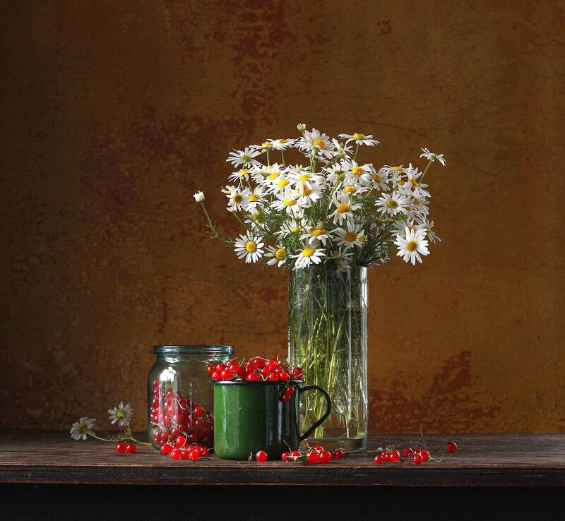 Ш фото превью