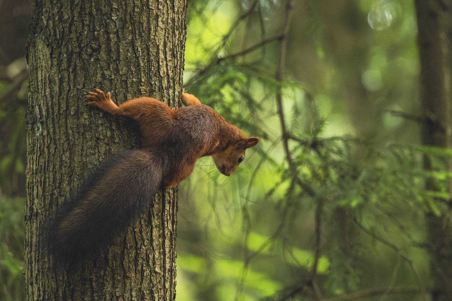 , Катаругин Дмитрий