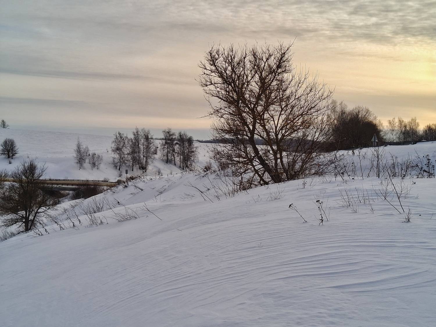, Кондрашова Светлана