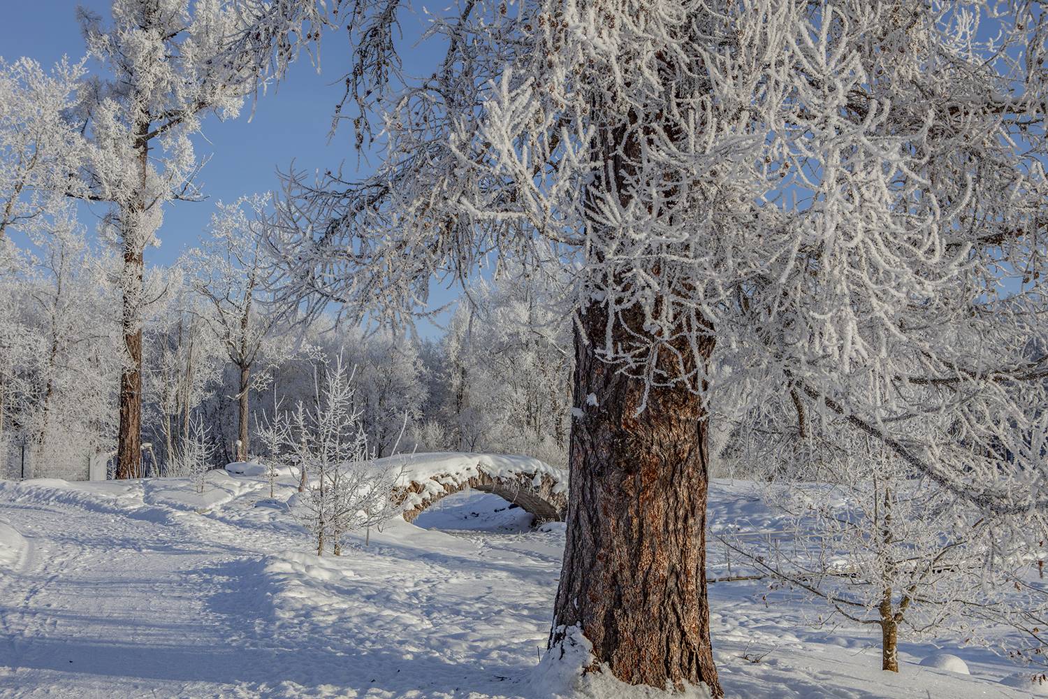 , Aleksandr Mihailov