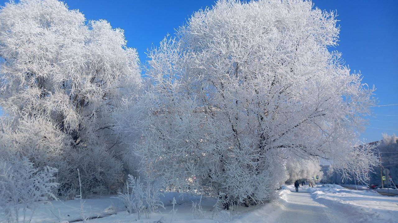 , Николаев Владимир