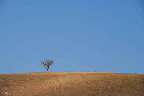 Alone