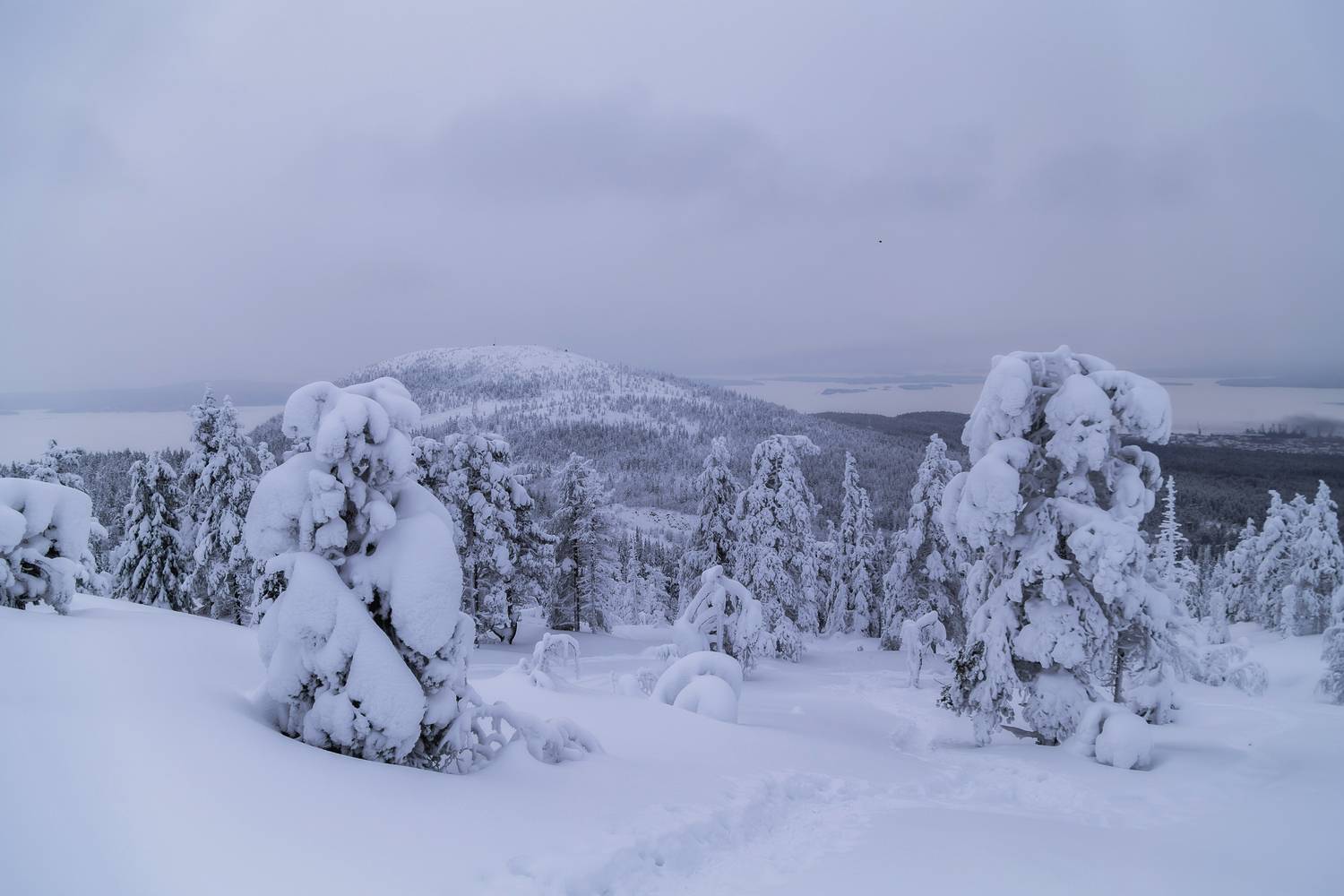 Мурманская область, Кольский полуостров, Кандалакша, Волосяная сопка, Татьяна Кормашова