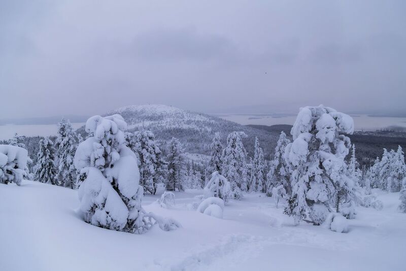 Мурманская область, Кольский полуостров, Кандалакша, Волосяная сопка Зимний день фото превью