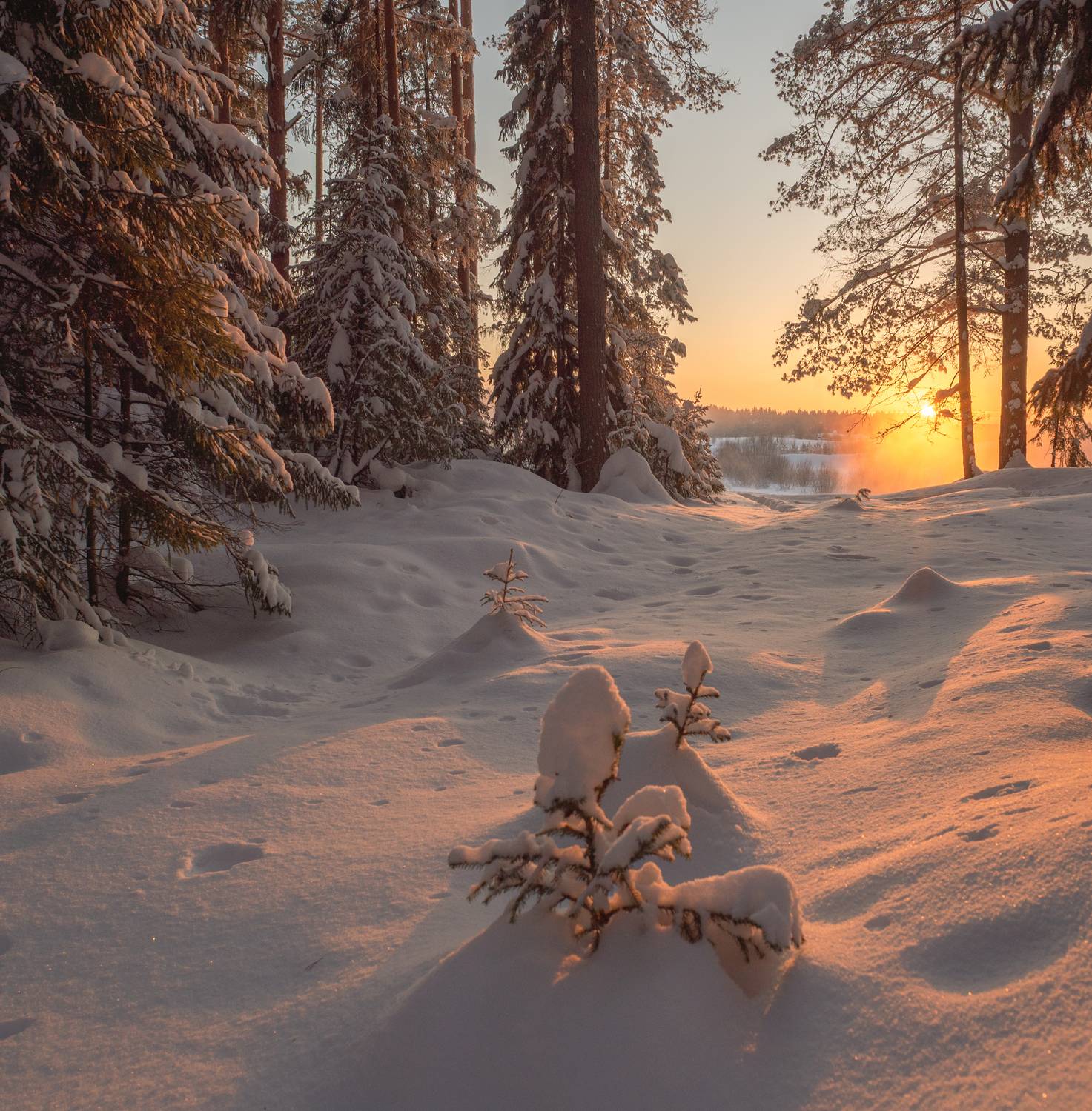 , Карепанов Евгений