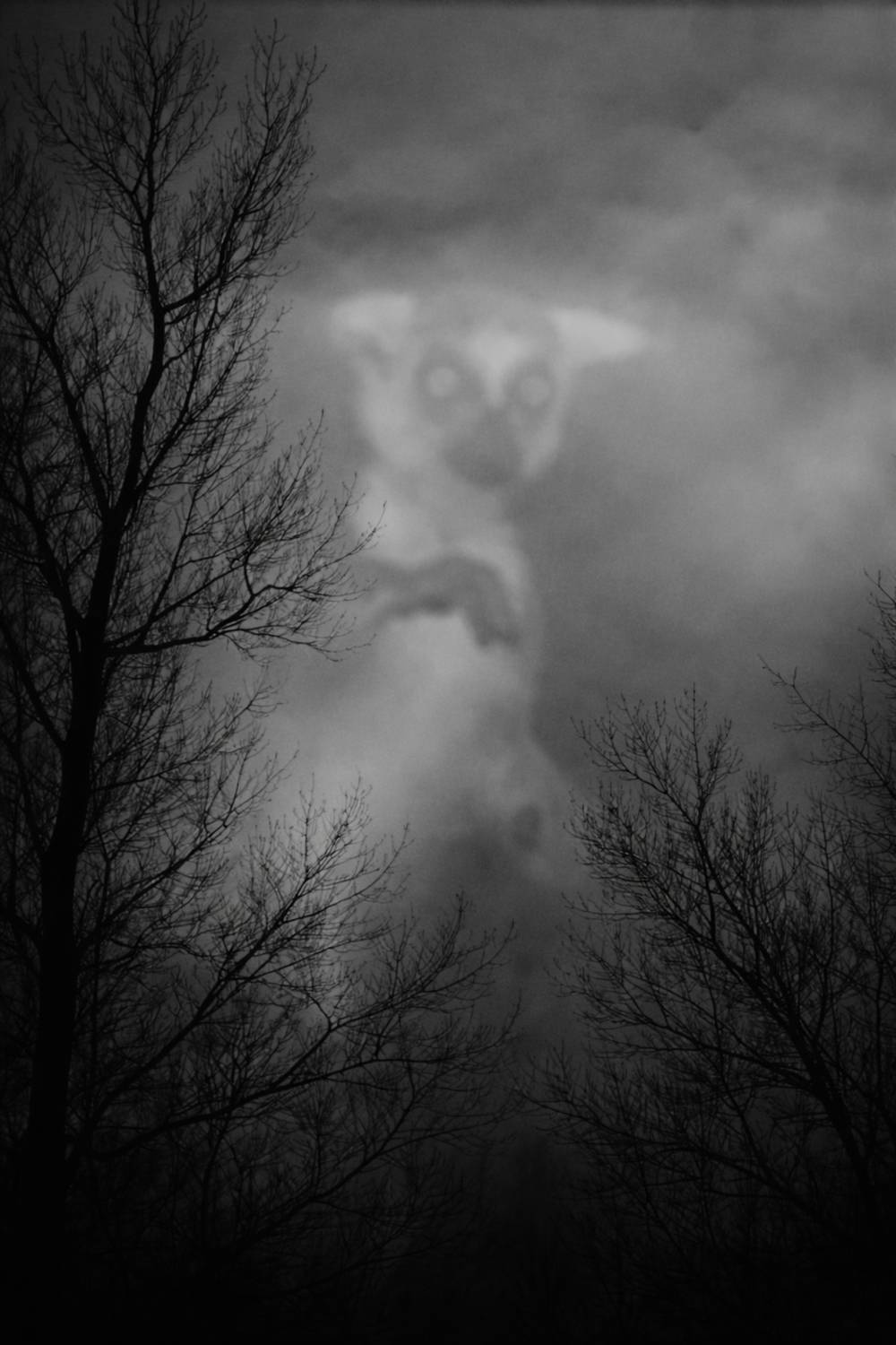 , Шилов Александр