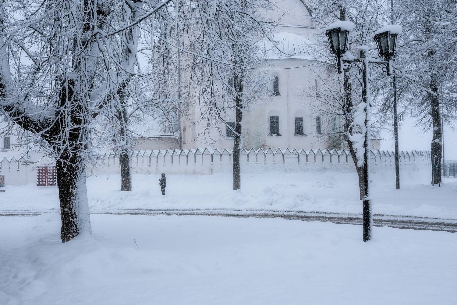Суздаль, Владимир, природа, пейзаж, золотое кольцо, Мартыненко Дмитрий