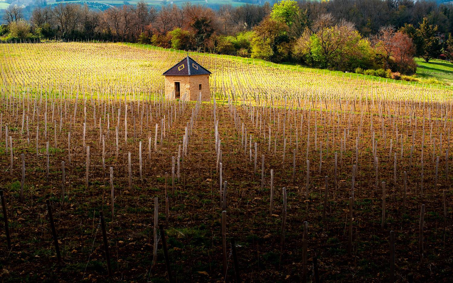 , Gasiorowski Wladyslaw